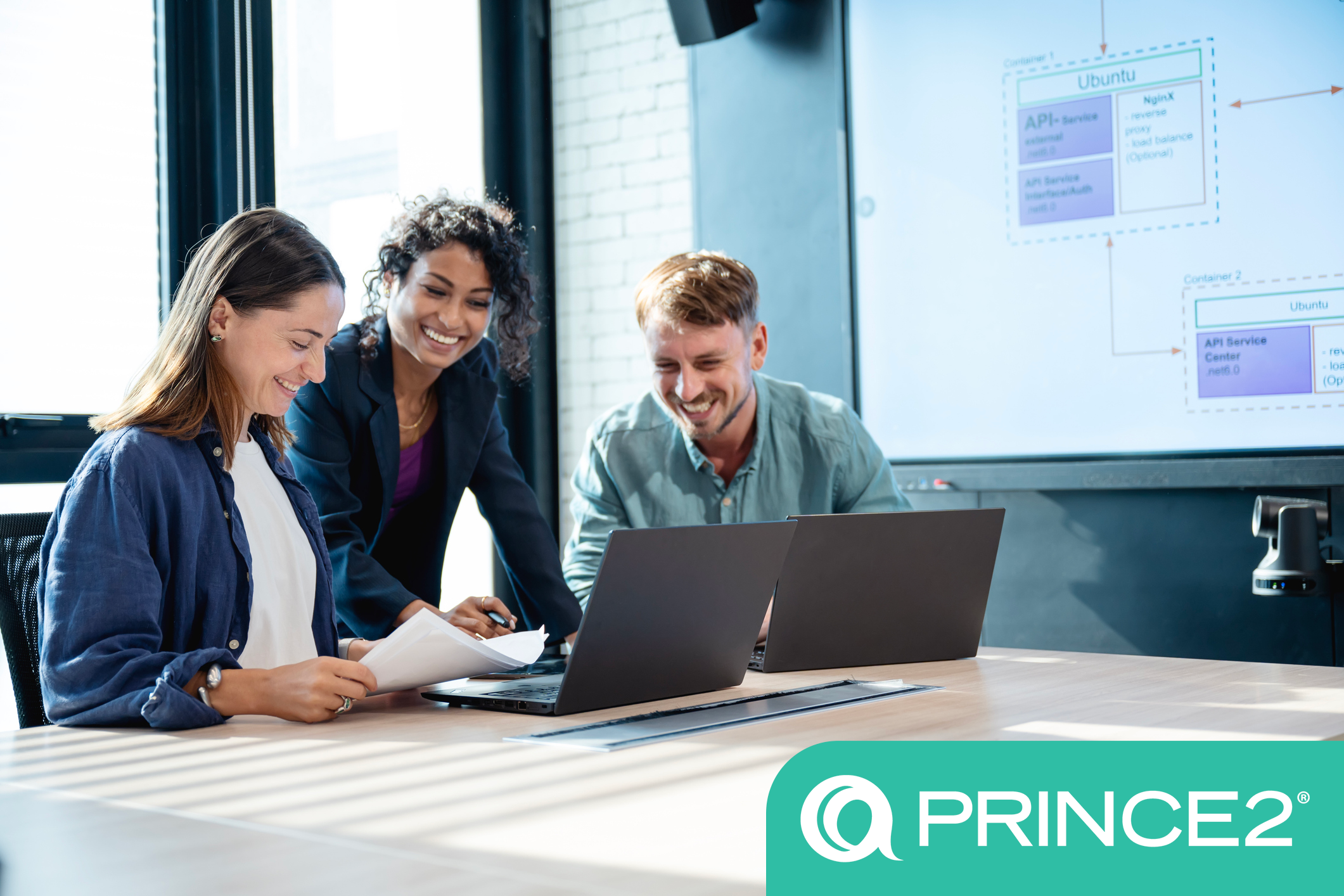 Practitioner - product image