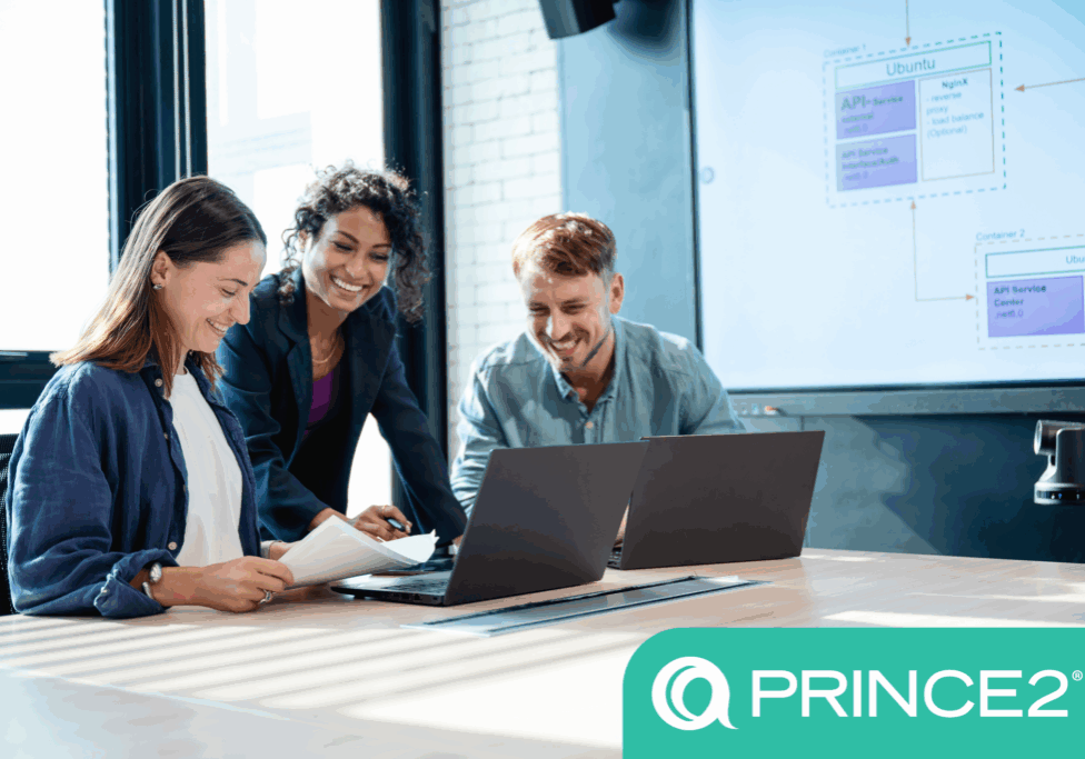 Practitioner - product image